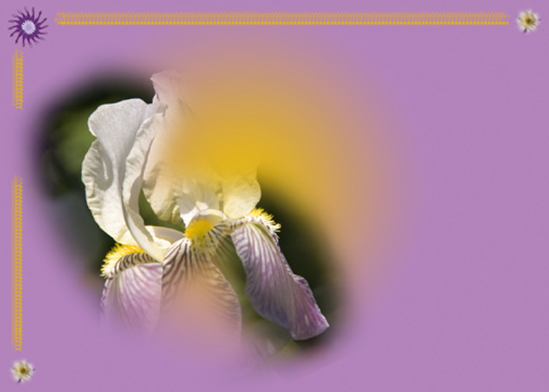 Image #3 of 12: 